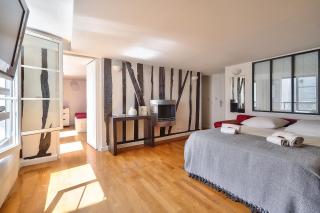 The Perfect Parisian 2 bdrs flat at Le Marais - París - 4