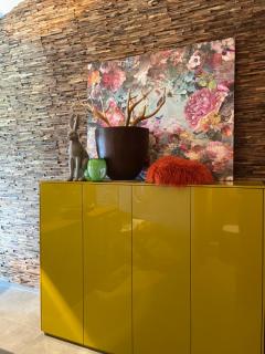 Pfändertraum Luxus Ferienhaus - 2