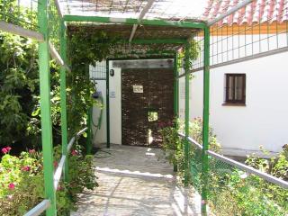 Finca La Tacita - Petunia - Conil de la Frontera - 8