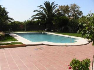Finca La Tacita - Rosal - Conil de la Frontera - 9