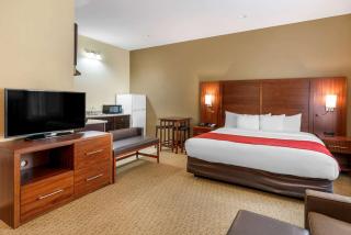 Comfort Suites Eugene - Eugene - 4