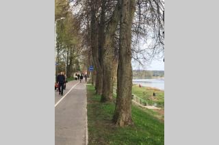 Latgales 266 6 can stay Self check in out River 200m - 3