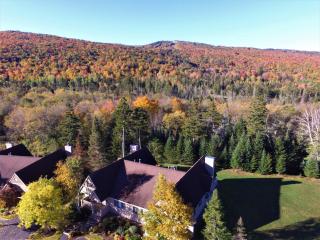 F8 Luxurious Mt Washington Hotel golf course home Wifi cable air conditioning - Carroll - 3