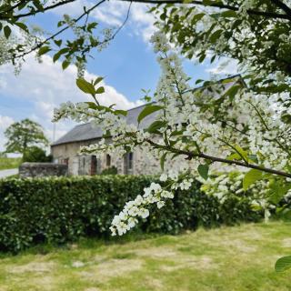 La Jaguelinière - 1