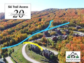 C2 Luxurious townhome stunning views AC stone fireplace beautiful kitchen STEPS TO SKI TRAIL - Carroll - 2