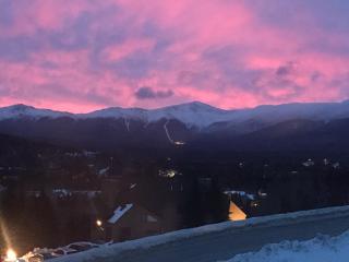 C2 Luxurious townhome stunning views AC stone fireplace beautiful kitchen STEPS TO SKI TRAIL - Carroll - 6