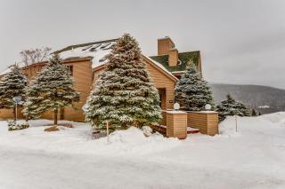 C2 Luxurious townhome stunning views AC stone fireplace beautiful kitchen STEPS TO SKI TRAIL - Carroll - 1