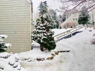 R1 Renovated Bretton Woods Slopeside townhome in the heart of the White Mountains - Carroll - 3