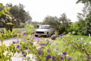 La Bergerie de l'etang - 4