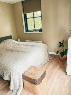 Stay-Inn Harlingen - Harlingen - 6