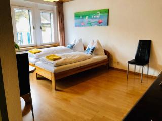 central beauty scenery apartment - Interlaken - 6