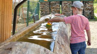 Haus Alpenrose zum Vic - 3