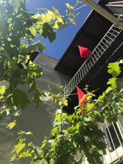 La Vite è Bella - 8