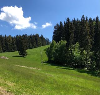 BLICK - Lądek-Zdrój - 6
