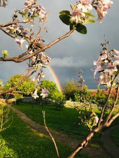 Vila Ţara Haţegului - 4