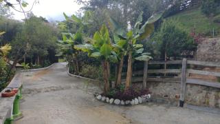Hotel Selva Verde - Salento - 4