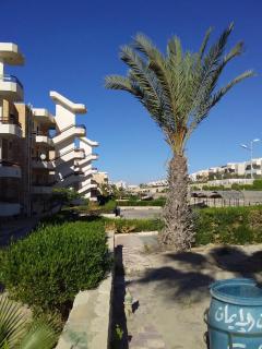 ch2 C21 ground chalet without a lounge terrace and bourgeois pool side - El-Alamein - 1