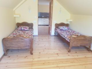 Sando Apartments Borjomi With Balcony And Mountain View - 1
