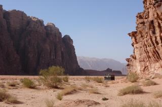 Wadirum momoo - 1