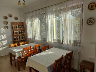 Pensiunea Albina - Sînnicoară - 5
