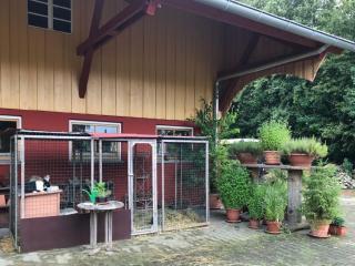 Moorwiesenhof - Ostrach - 5