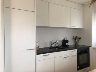 Renovated 3 Rooms Apartment in Ruschein near Laax - Ruschein - 1