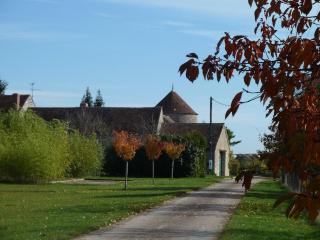 Gîtes du Martroy - 2