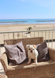 Nautic Beach Hotel - Rimini - 8