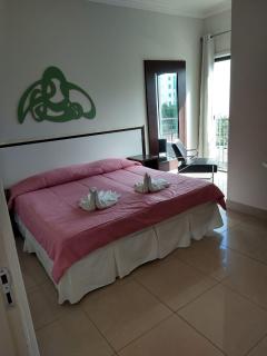 Alzira Plaza Hotel - São Lourenço - 1