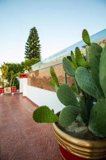 Margarita luxury apartment 1 - Faliraki - 8