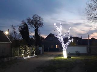 Hotel Jonik Land - Chornomorsk - 6