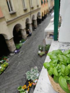 Vista sul carruggio, centro storico di Chiavari - Chiavari - 5