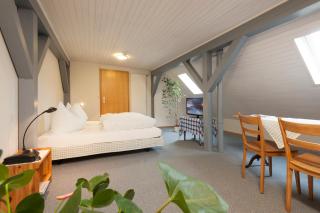 Hotel Landgasthof Hirschen - Ramsen - 9