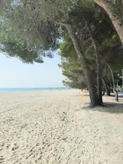 Beach Apartment Minerva - 3