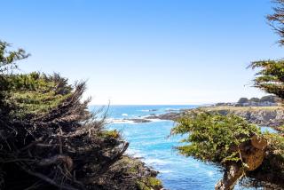 Seaspray - Sea Ranch - 9