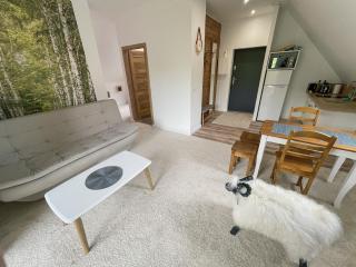 Apartamenty nad potokiem odpocznij u nas!! - Biały Dunajec - 4