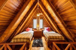 Cozy Beach Casita/Walking distance to beach and yoga! - Nosara - 9