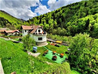 Casa Catalea - Sinaia - 0