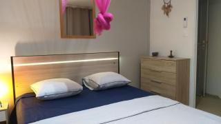 Agréable F2, jardin, garage, fibre, clim ch - Fort-de-France - 5