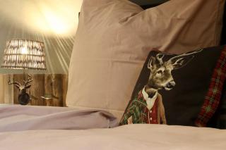 Chalet 24 - Butgenbach - 4
