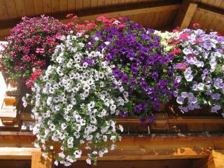 Appartements Schneezauber - 6