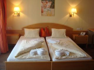 SCOL Sporthotel Zillertal - Fügen - 6