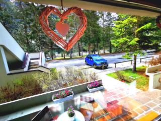 DaPolo - Cosy appartment in Val di Fassa - Campestrin - 0