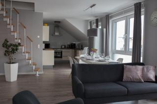 moderne Neubau-Wohnung mit Kamin und 35qm Dachterrasse - Trossingen - 2