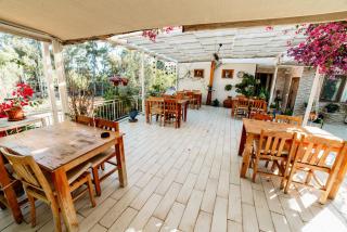 Eucalyptus Pension - Patara - 3