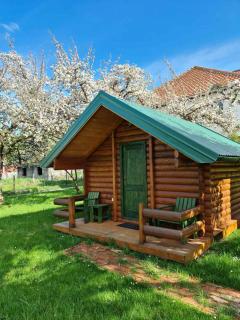 Guest house Green Garden - Mojkovac - 8