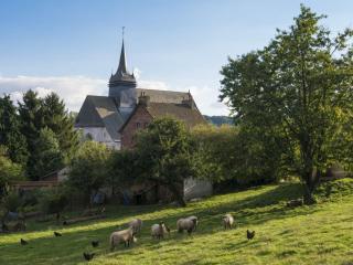 Charmant appartement à la ferme, 2 chambres, Wi-Fi, proche Auxi-le-Château - FR-1-376-28 - Wavans - 4
