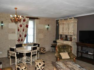 Gîte familial spacieux avec jardin privé, proche châteaux et zoo, jeux pour enfants, billard et cheminée - FR-1-381-6 - Bléré - 6