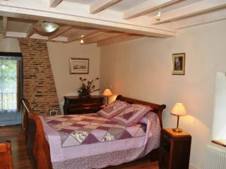 Gîte familial spacieux avec jardin privé, proche châteaux et zoo, jeux pour enfants, billard et cheminée - FR-1-381-6 - Bléré - 2