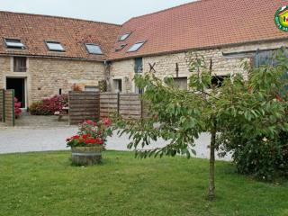 Gîte cosy 3 chambres à 3 km de la mer avec jardin, terrasse, WIFI et animaux acceptés - FR-1-376-24 - Beuvrequen - 9